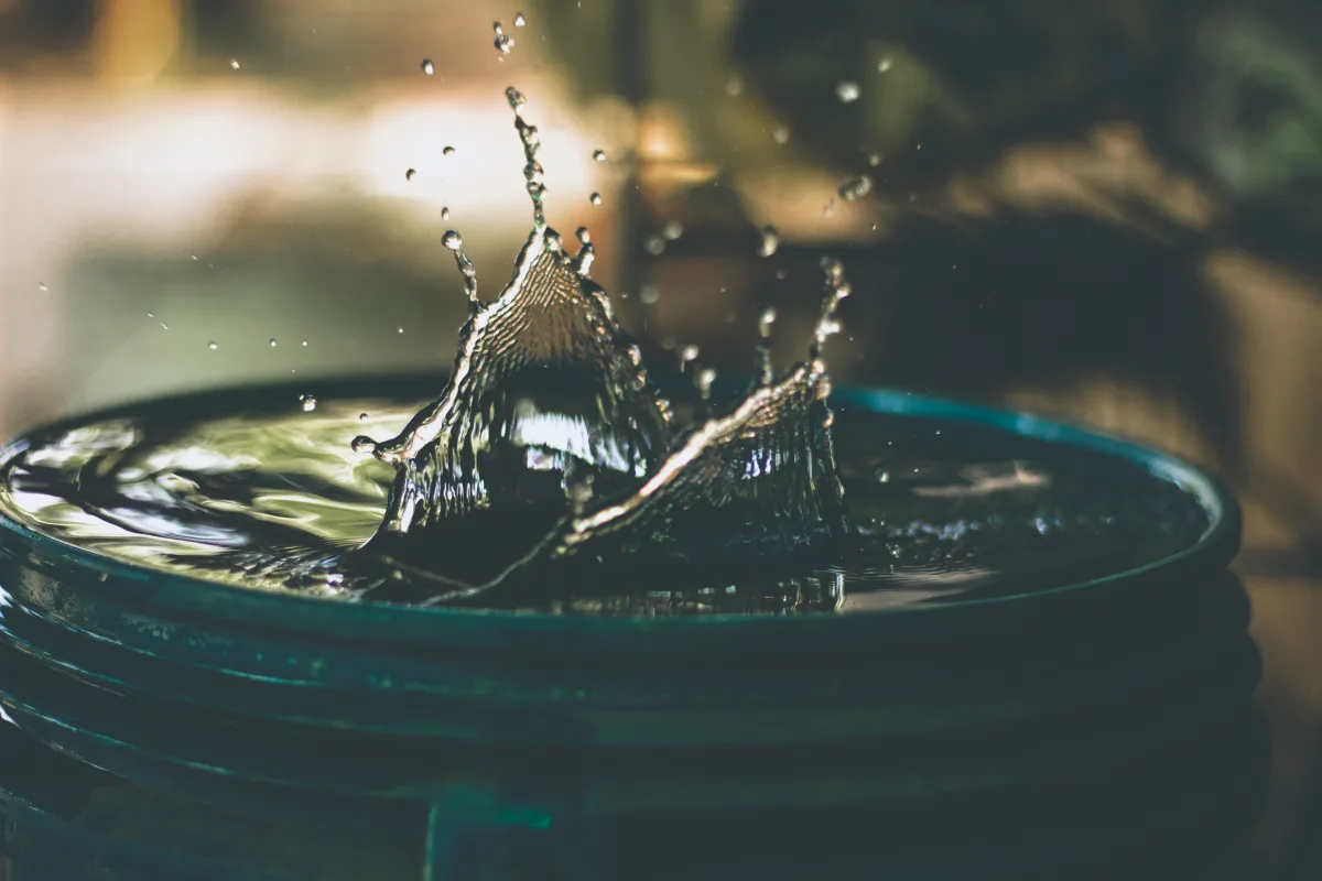 collecter l eau de pluie pour réaliser des économies d eau