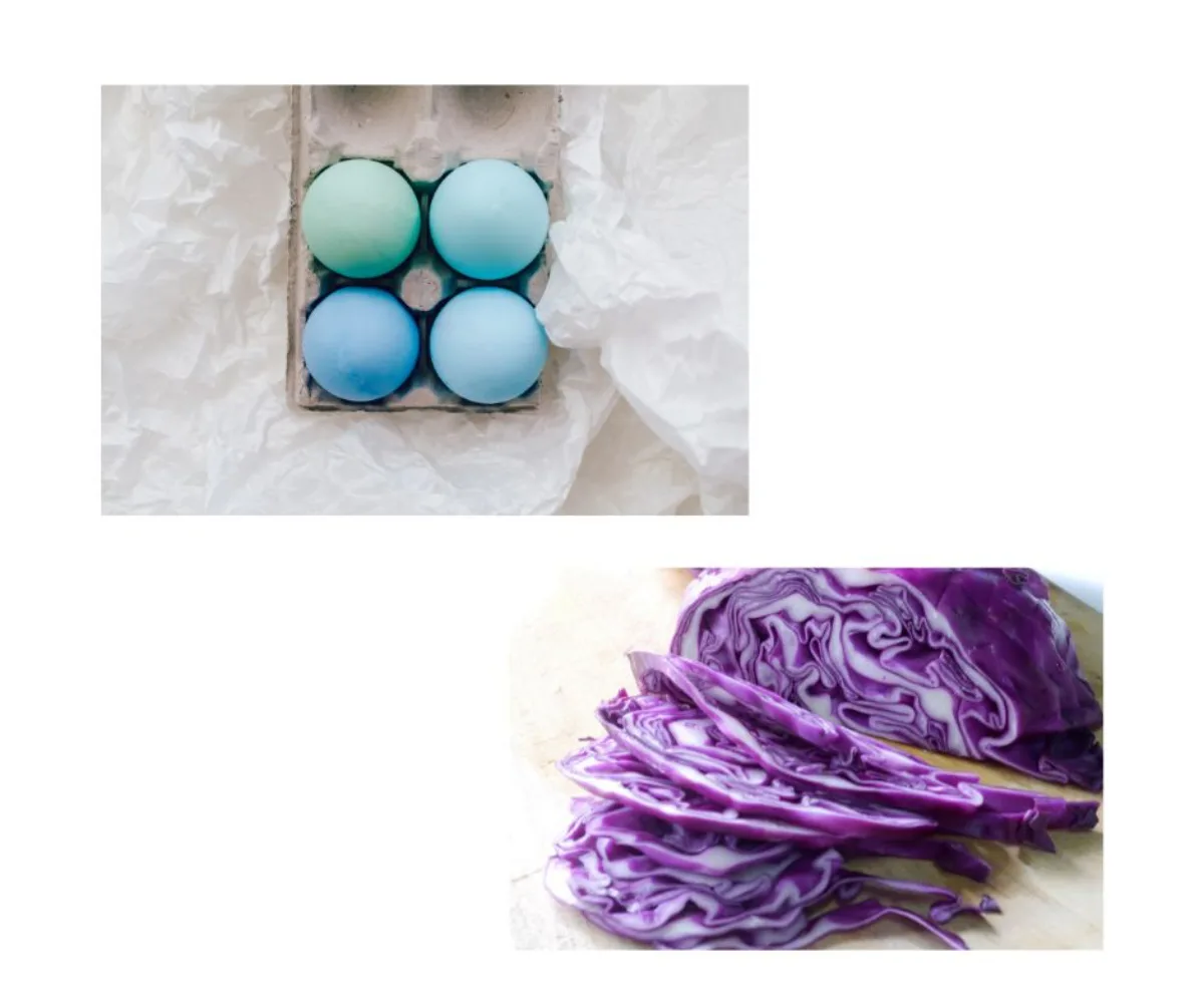 colorer oeufs de paques avec chou rouge astuce de grand mère colorer oeufs de paques avec chou rouge astuce de grand mère
