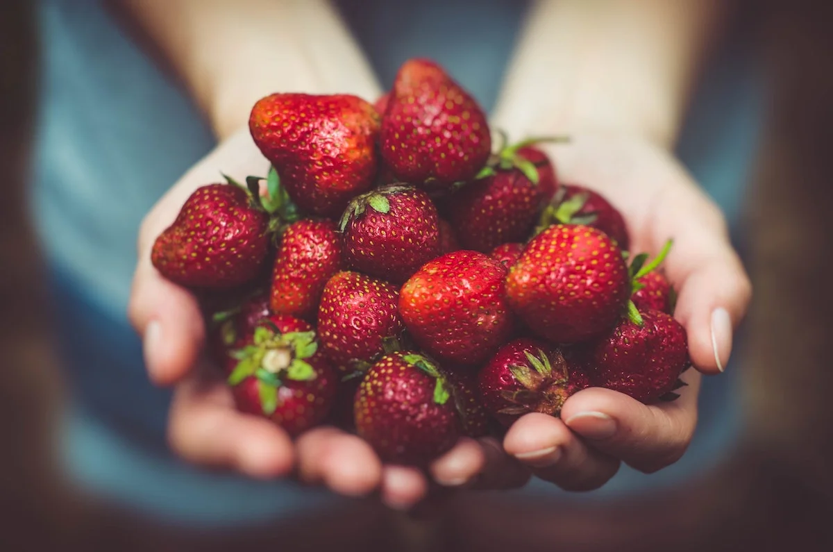 comment avoir une recolte abondante de fraises cet ete