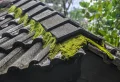 Comment fabriquer de l’anti-mousse pour toiture, murs, terrasse, béton ? Méthodes accessibles d’un artisan de démoussage