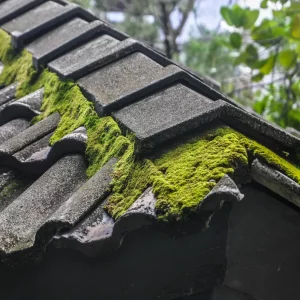 comment enlever le mousse sur la toiture