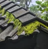 comment enlever le mousse sur la toiture
