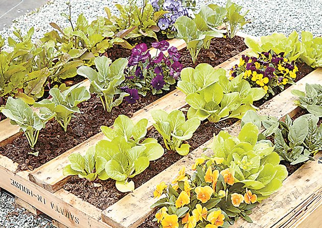 comment fabriquer un carré potager surélevé avec des palettes