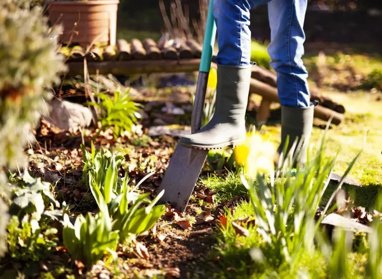 comment preparer le sol avant de planter les nouvelles cultures