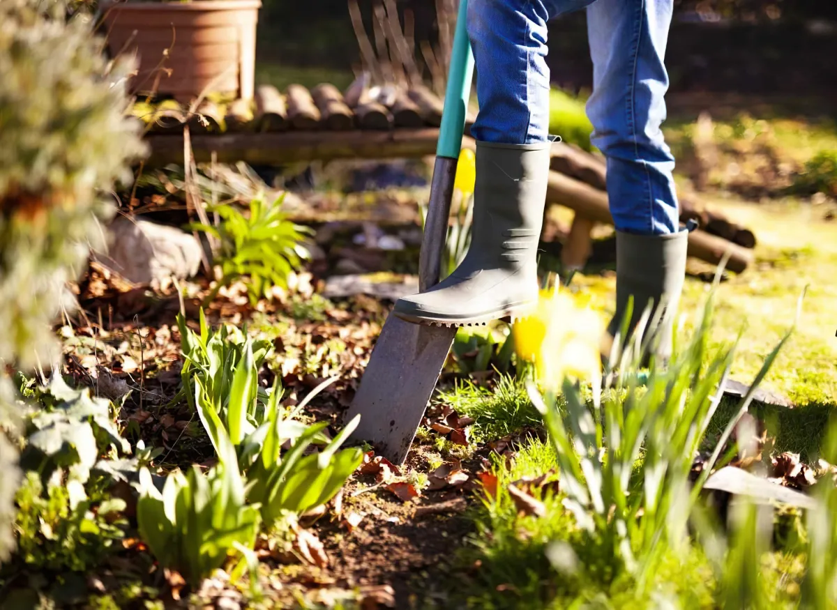 comment preparer le sol avant de planter les nouvelles cultures