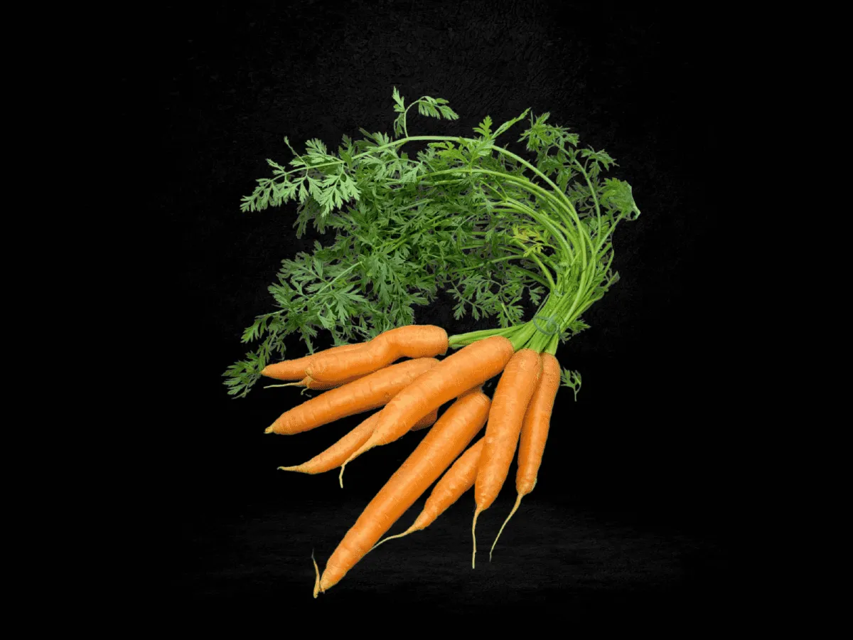 comment se soigner du carrotte pour avoir une recolte riche