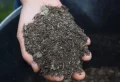 Comment faire du compost sans bac : simples méthodes économiques