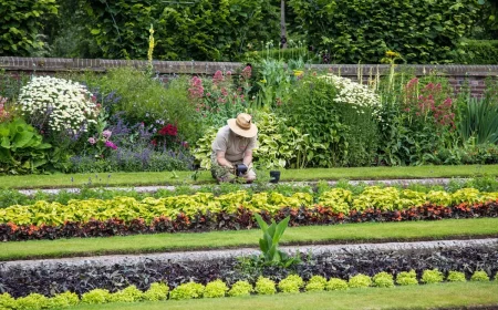 homme qui plante des graines de fleurs dans le sol