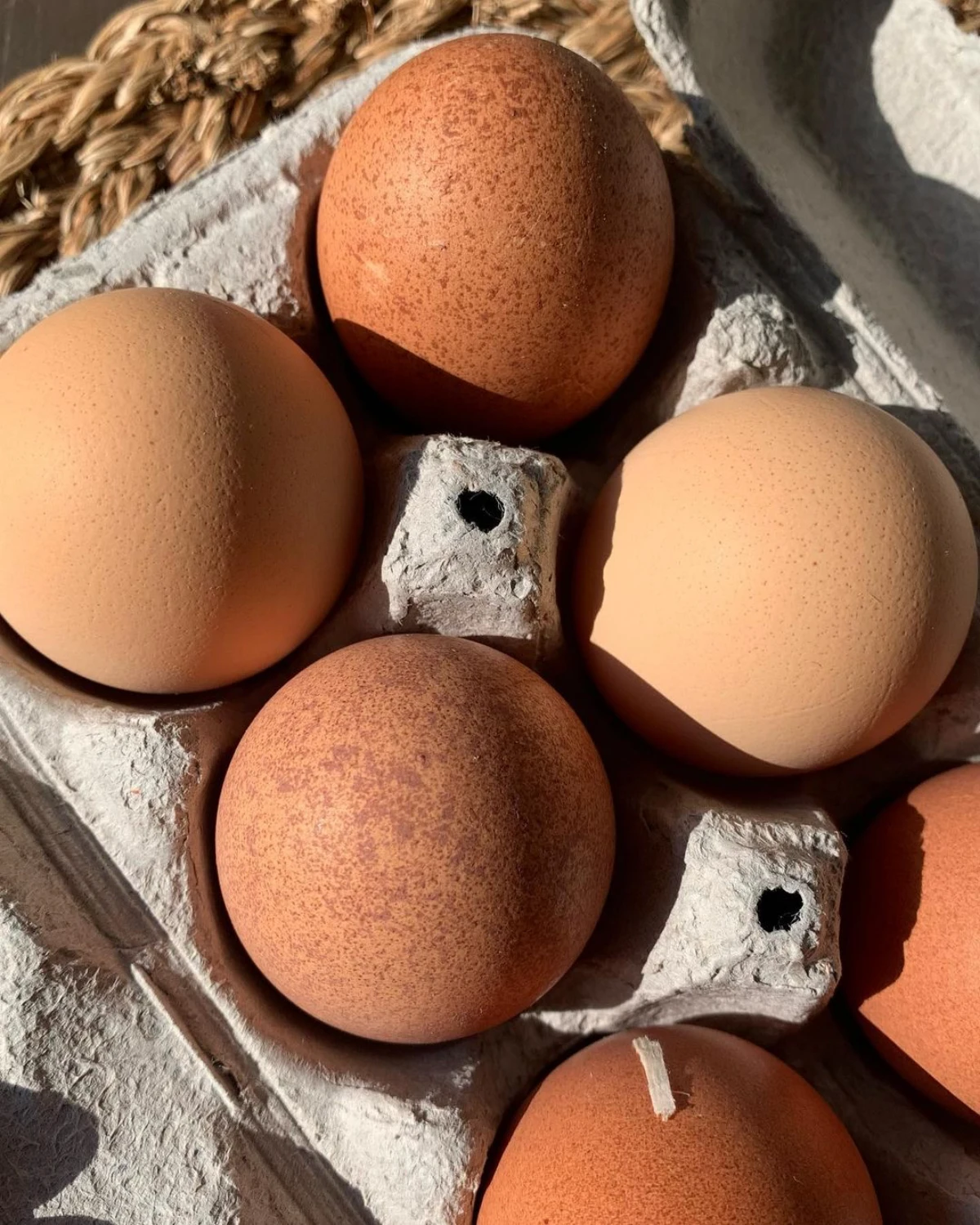 des oeufs frais dans une boite en carton