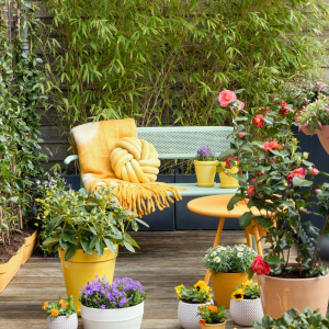 exemple de terrasse fleurie avec des pots avec fleurs bans et couverture jaune