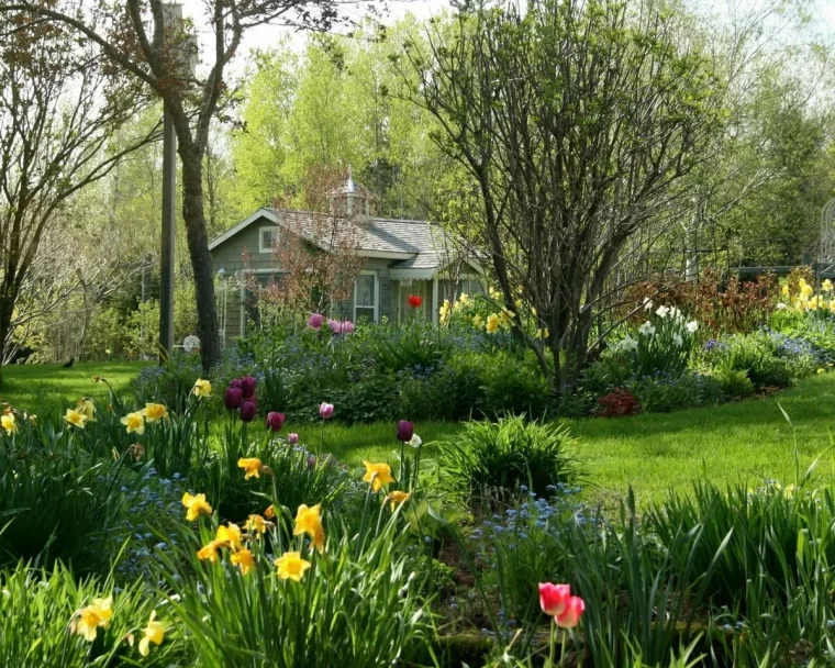 fleurs à planter en avril au jardin jacinthes ettulipes au printemps devant aison