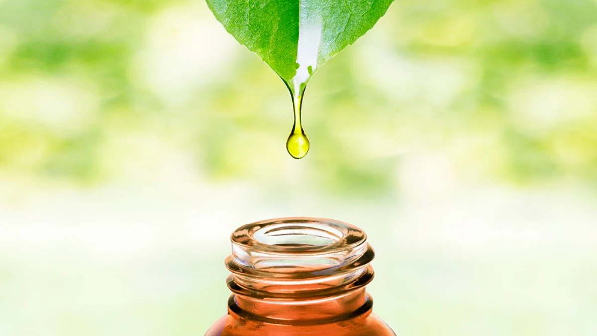insecticides naturels pour framboisiers goutte de l'huile essentielle fond vert