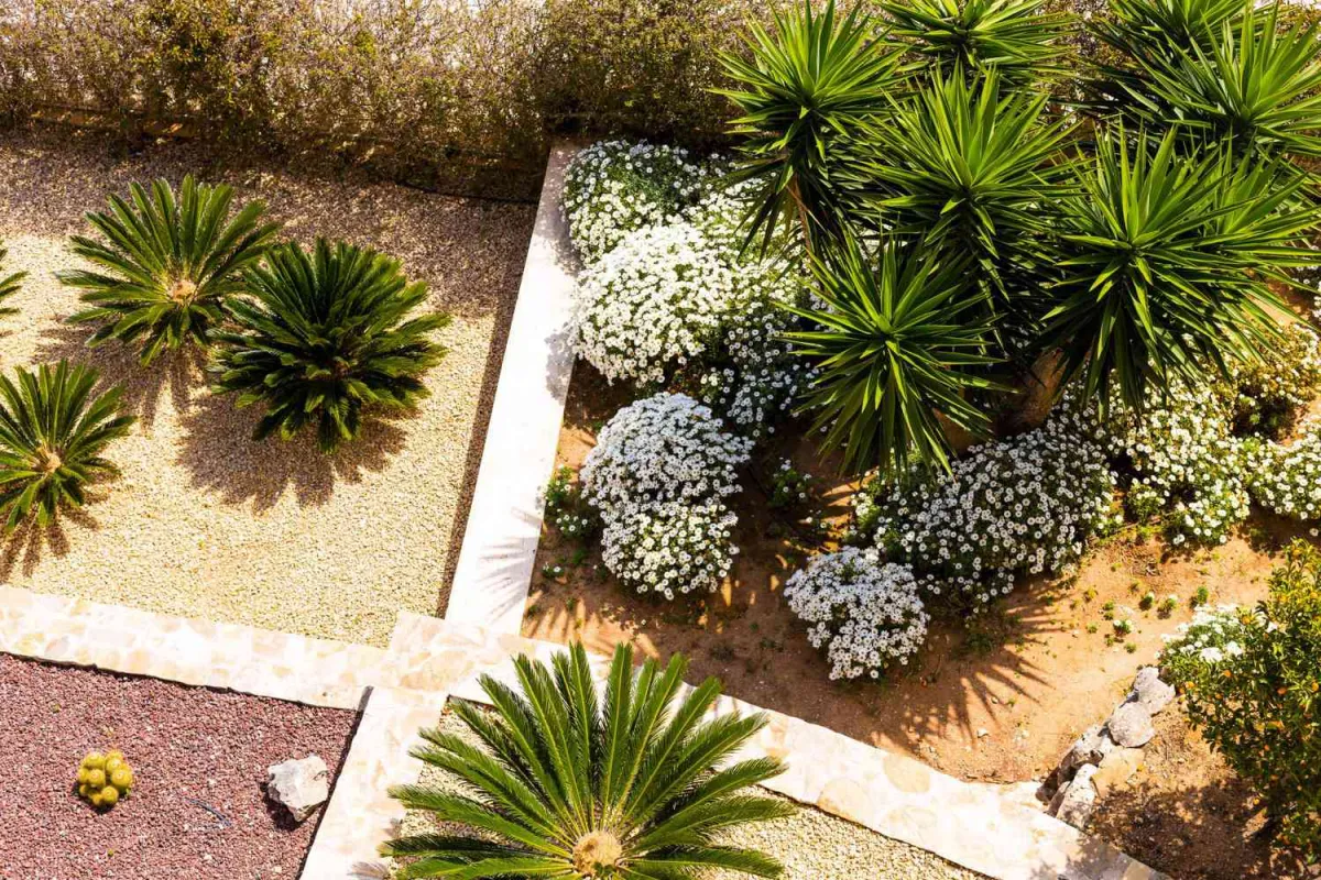 jardin mediterranee comment bien amenager votre cour plantes toujours verts