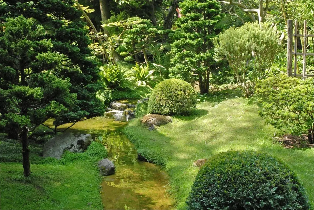 jardin paysager avec plantes arbres et buissons