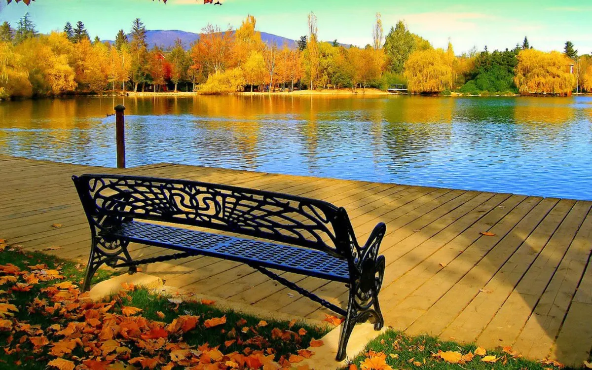 le bon coin banc de jardin banc enmetal devant un lac
