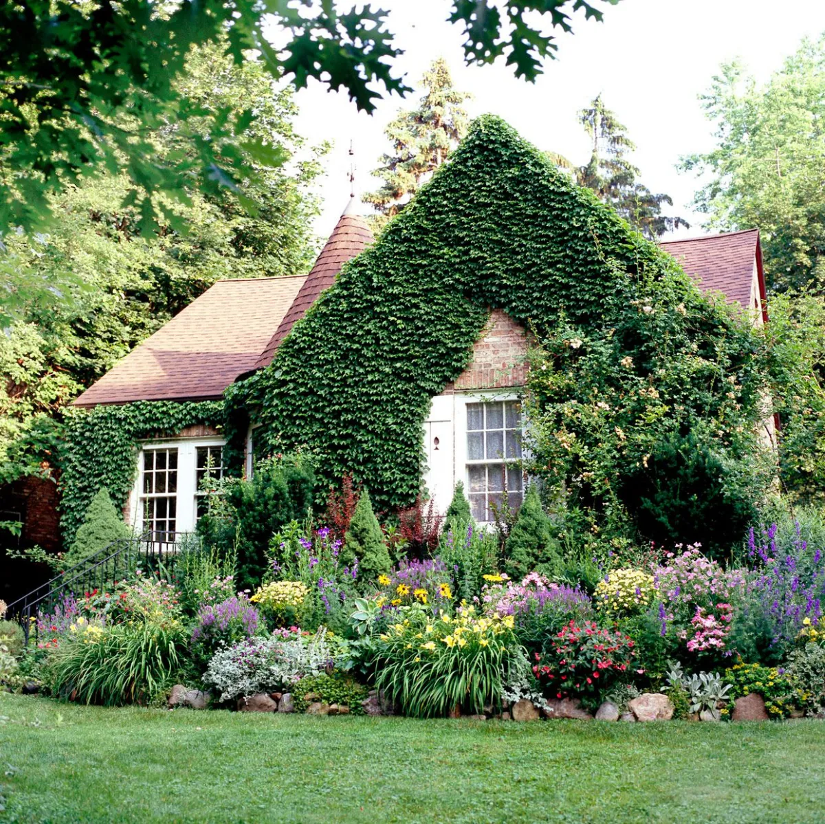 maison avec de lierre sur les murs pelouse verte fleurs