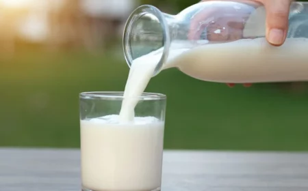 opourquoi le lait n est pas bon pour les adultes exolication