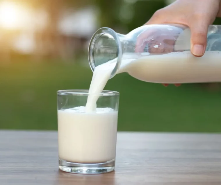 opourquoi le lait n est pas bon pour les adultes exolication