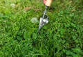 Comment arracher les racines de pissenlit ? Les 5 meilleurs outils pour un arrachage efficace et sans efforts !