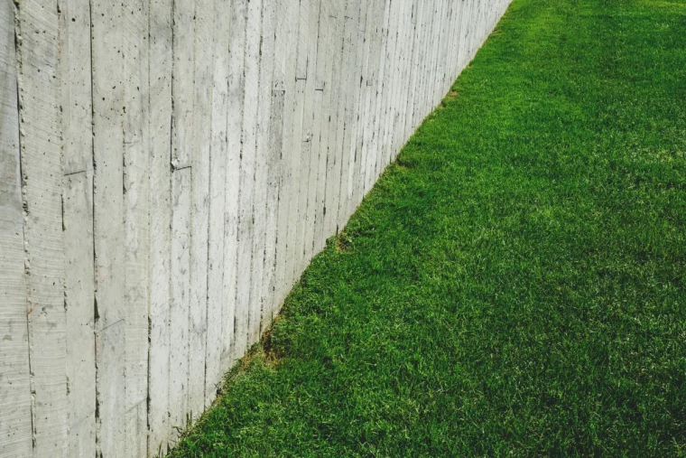 pelouse verte mur blanc printemps entretien