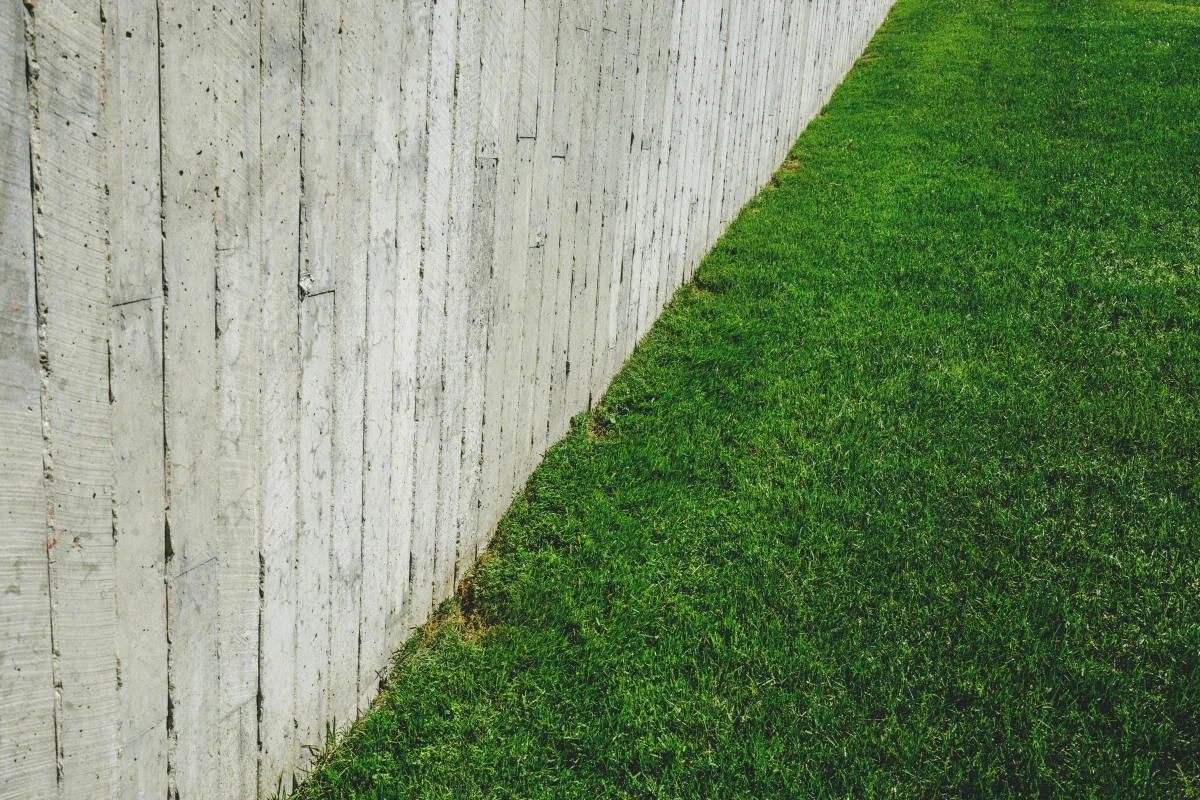 pelouse verte mur blanc printemps entretien