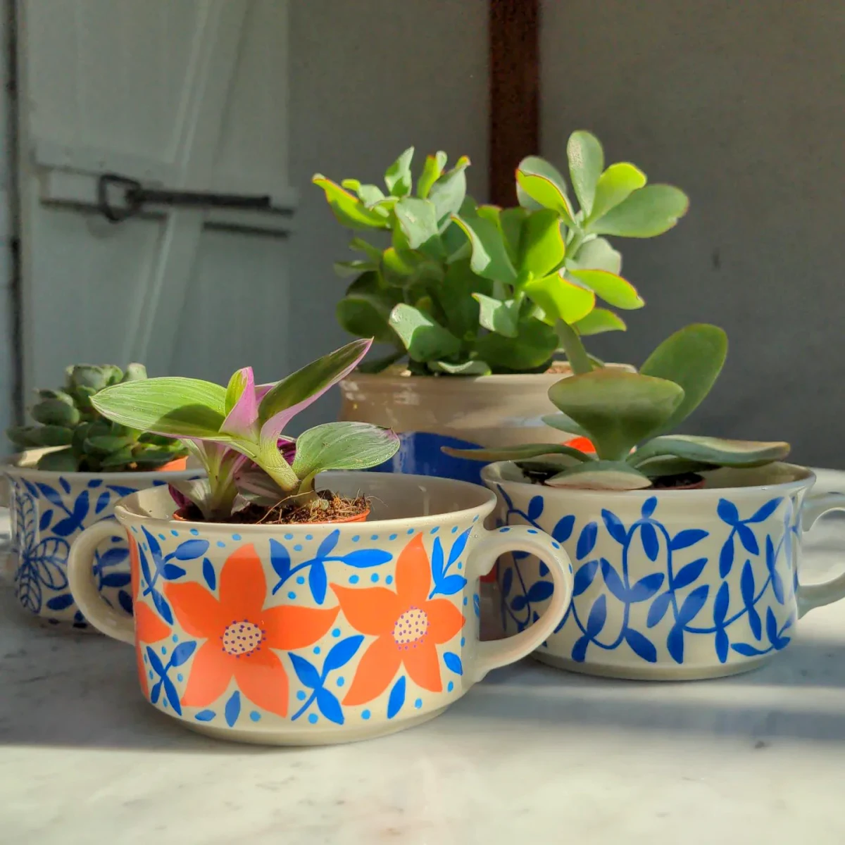 petite plantes dans des pots colores pour le balcon facile a entretenir