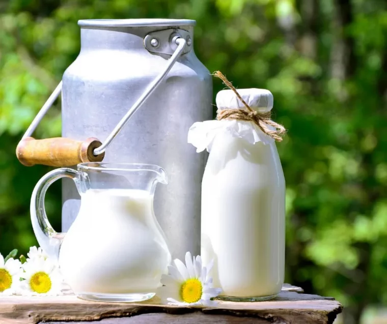 peut on boire du lait après 50 ans et consommer des produits laitiers