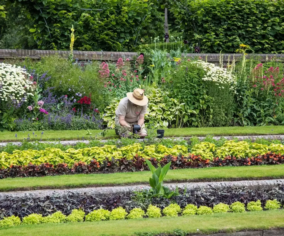 potager entoure de fleurs une femme avec chapeau dans le jardin