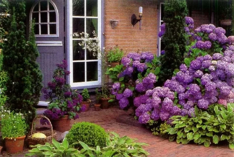 que planter dans son jardin hortensia lilas devantmaison