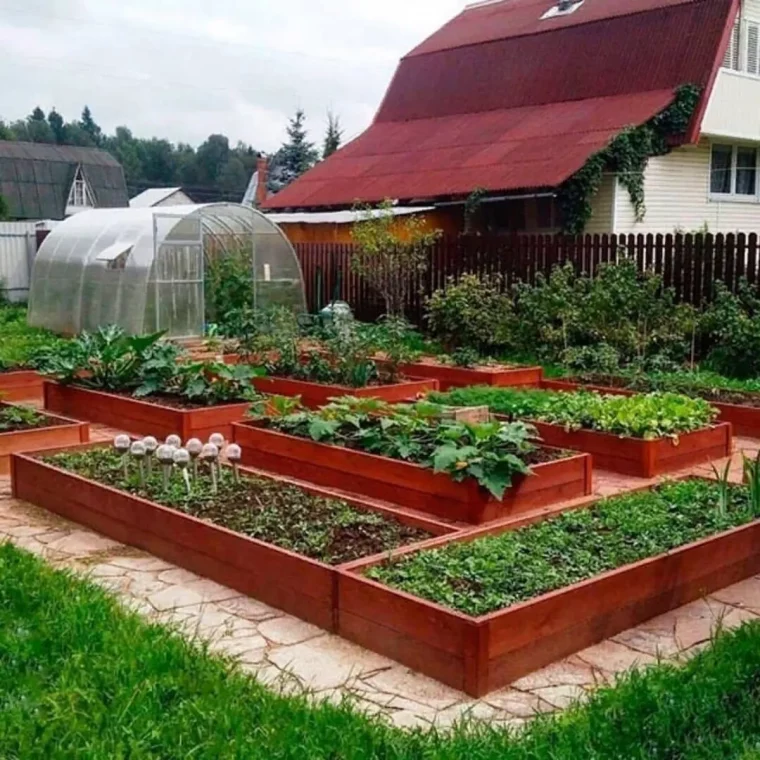 quelle plante associer avec le concombre potager devant unemaison blanche