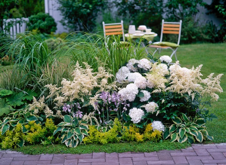 quelles fleurs a cote des hortenisias fleurs blanches pelouse verte