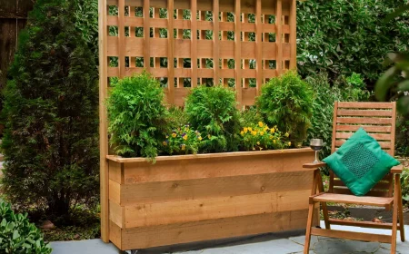 quelles plantes pour se cacher de la vue des voisins trellis e, bois