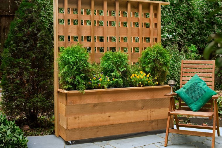 quelles plantes pour se cacher de la vue des voisins trellis e, bois