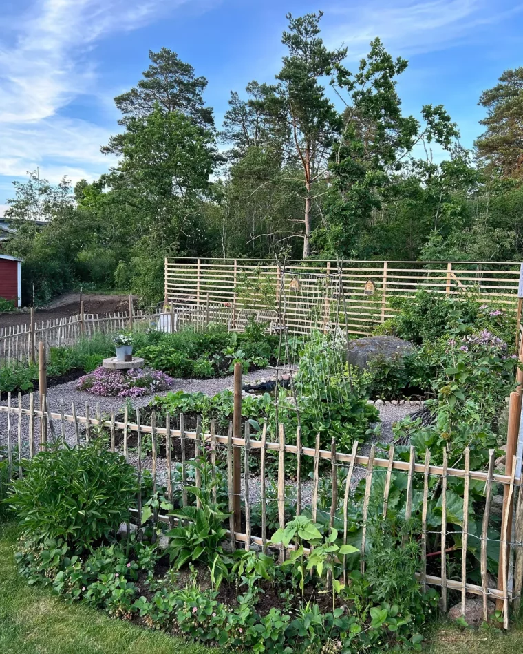 quels legumes ne pas planter a cote des courgettes conseils de pro