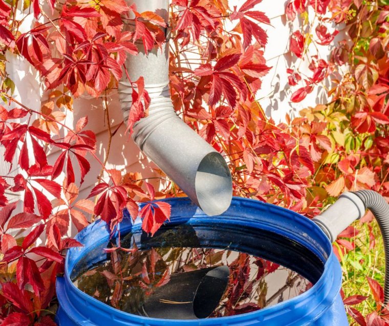 recuperer l eau de pluie dans le jardin idee astuce de grand mère jardin écologique