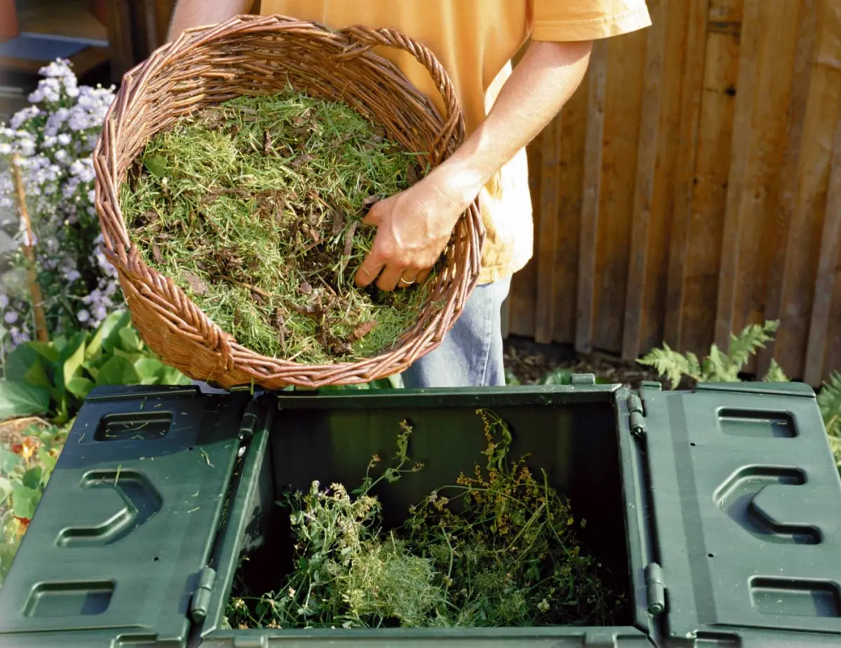 recycler la mousse du jardin dans le tas de compost