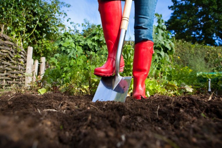 gardener in red boots with spade in garden