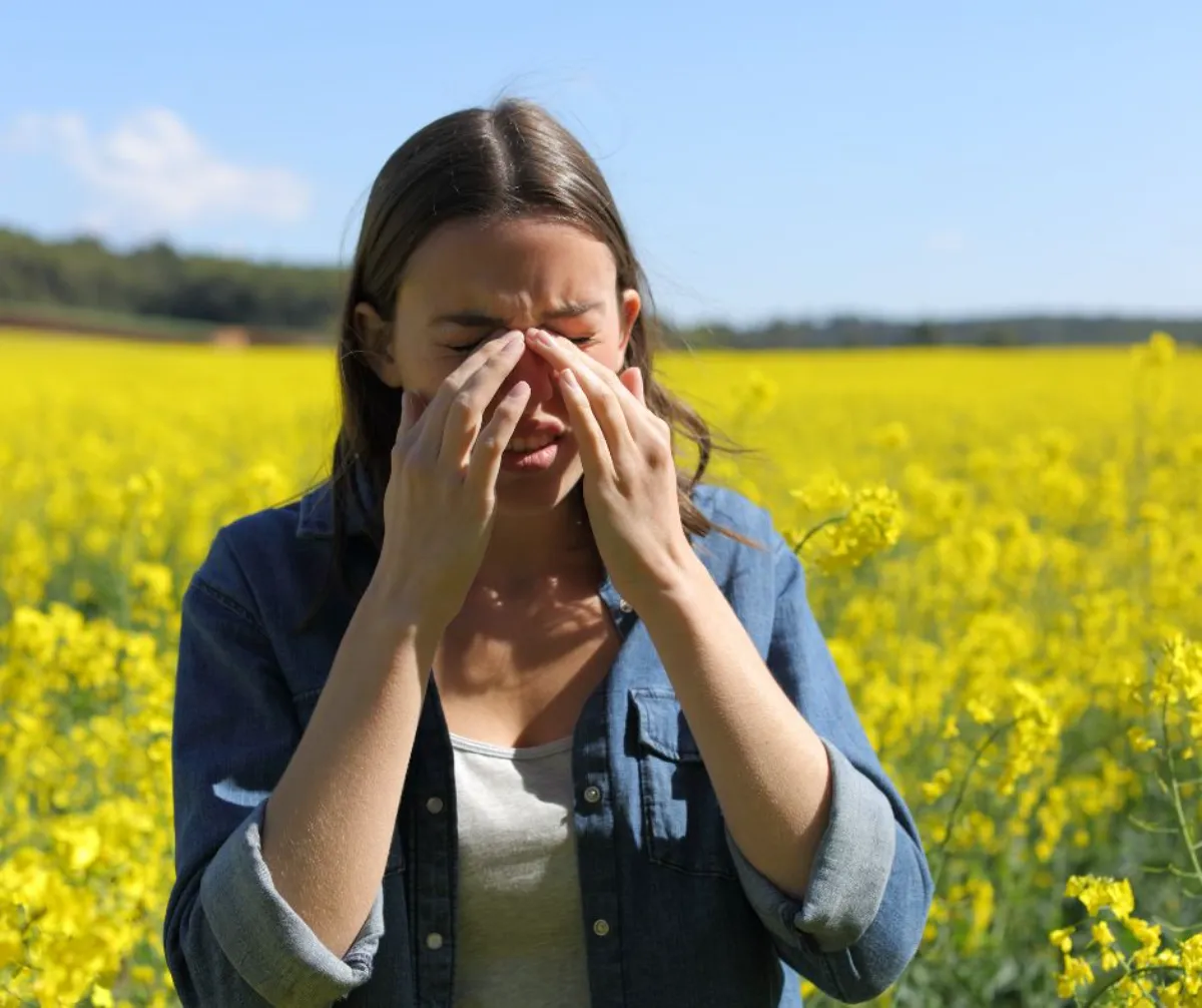 rhume des foins causé par une allergie rhinite allergique