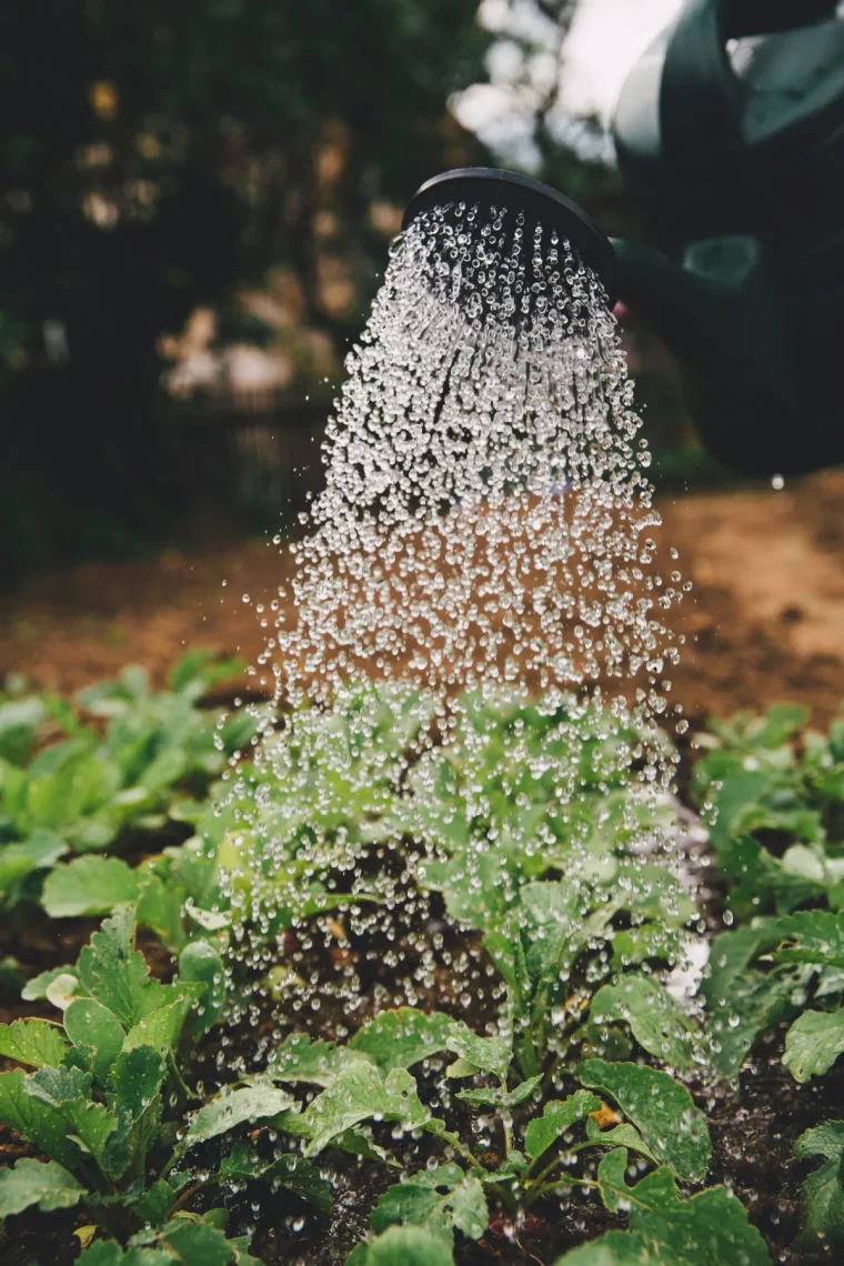 systeme d irrigation arrosage jardin efficace astuces
