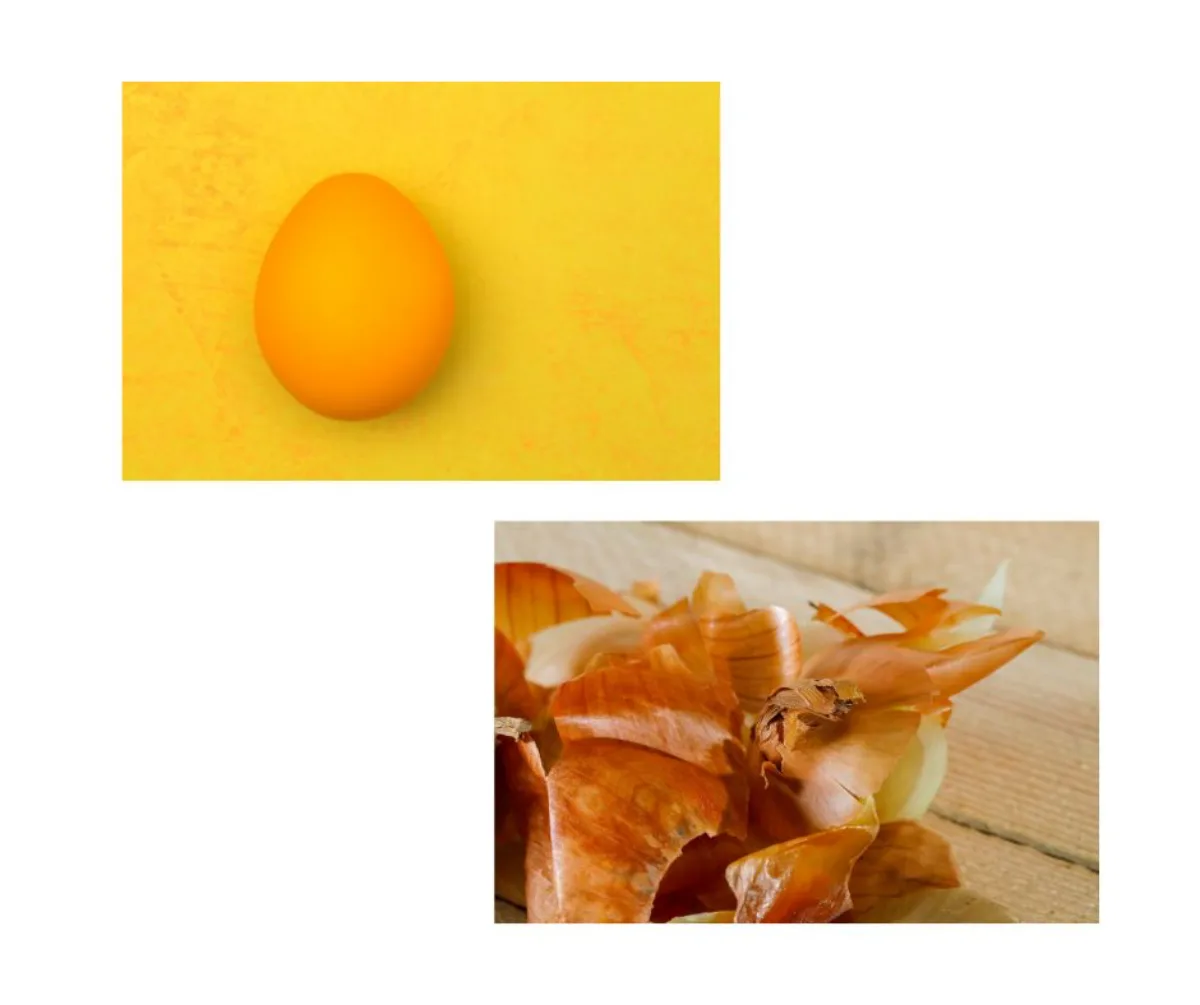teindre des oeufs de paques avec peau d oignon astuce de grand mère teindre des oeufs de paques avec peau d oignon astuce de grand mère