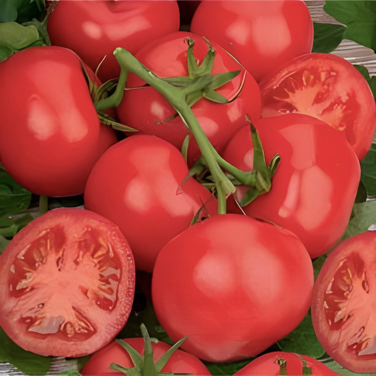 tomates grape rouge pretes a consommer et trois moities de tomates coupee
