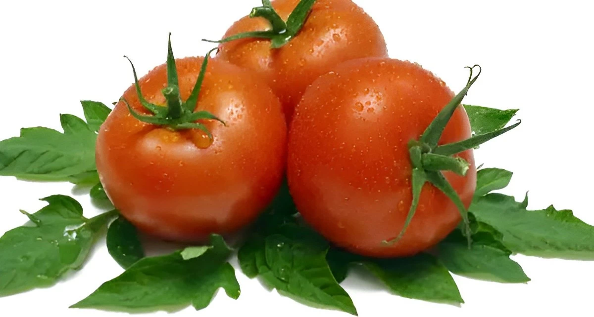 trois tomates rouges posees sur feuilles vertes sur fond blanc