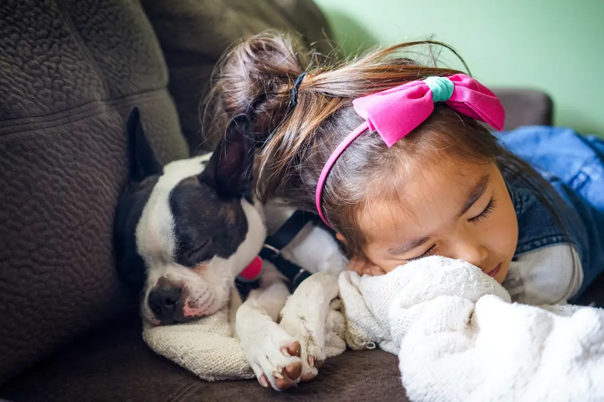 un chien calin qui dort avec une petite fille