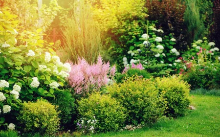 un jardin avec des fleurs et des arbustes pelouse verte