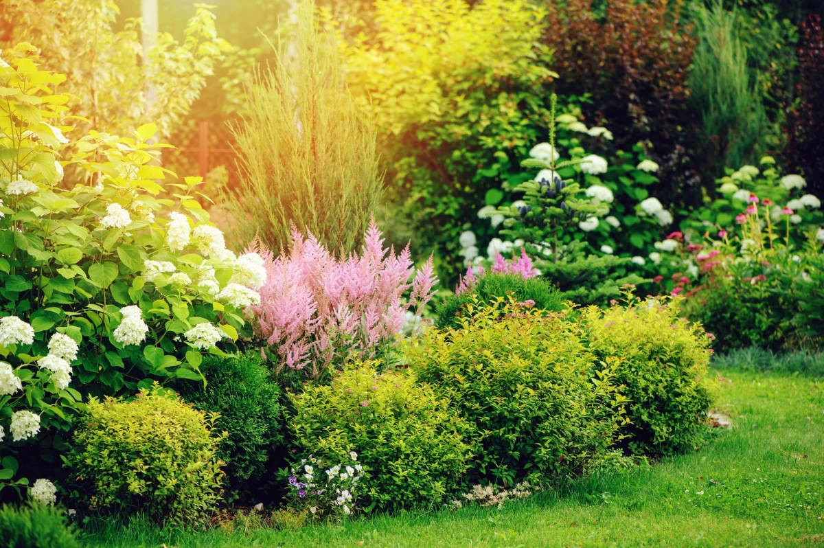 un jardín con un césped verde de flores y arbustos