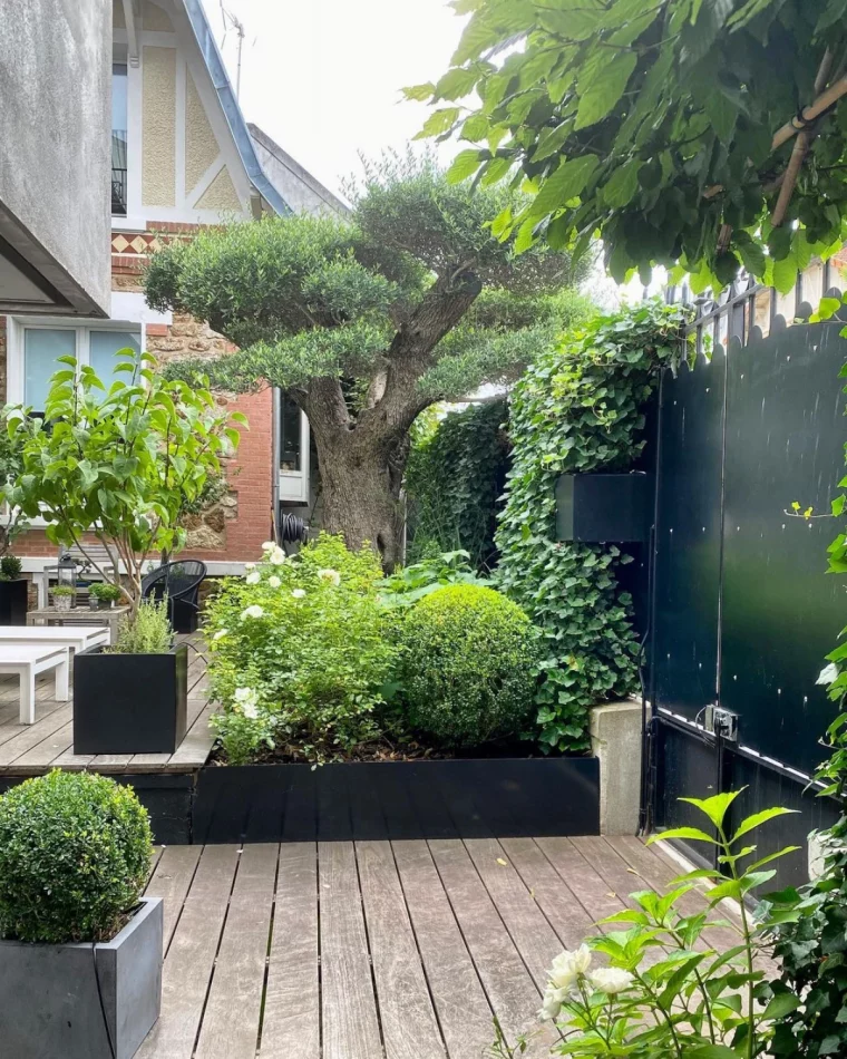 un massif d'arbustes autour d une terrasse