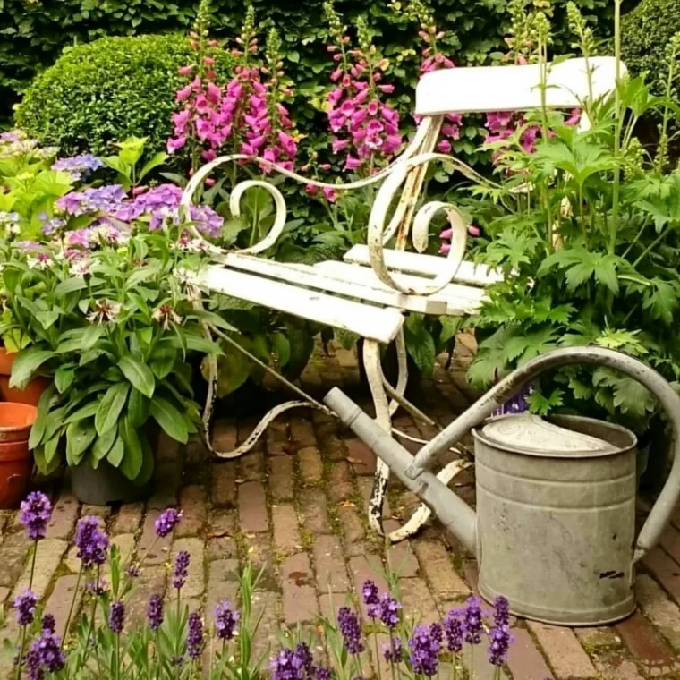 un massif fleuri avec des hortenisas fleurs violettes banc blanc