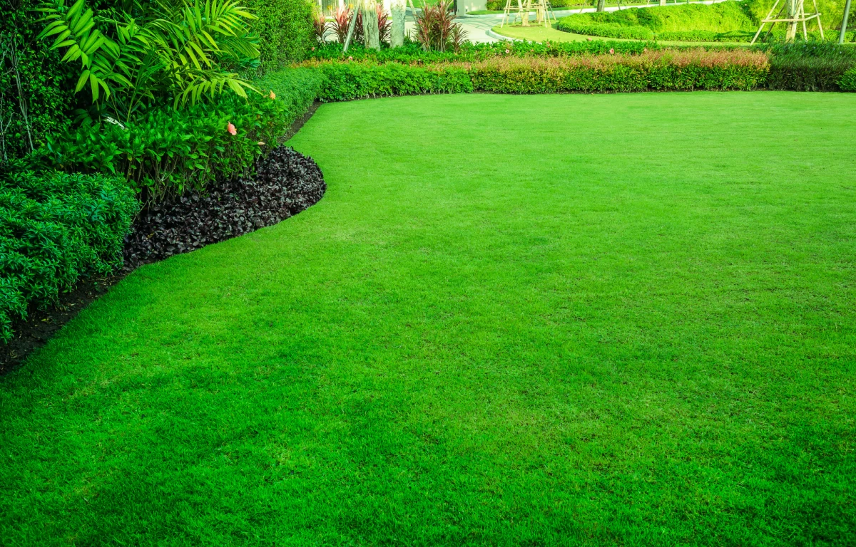 une belle pelouse bien verte quel engrais