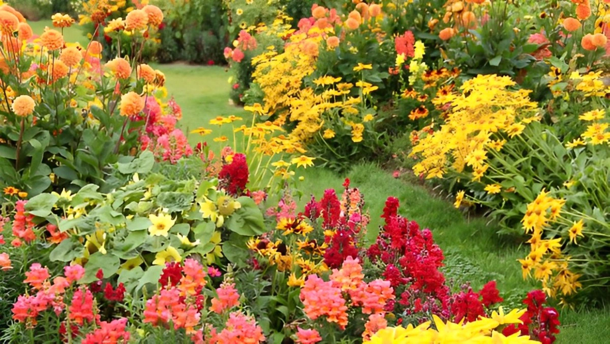 jardin fleuri avec des couleurs chaudes rouge jaune et orange