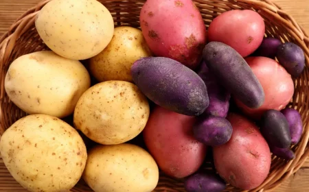pommes de terre differentes sortes que planter a cote des pommes de terre